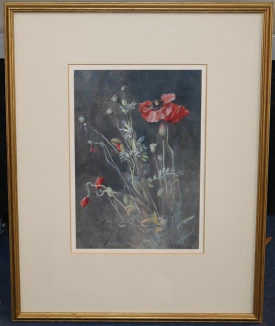 Arthur Wardle (1864-1947) Study of poppies, 11 x 7.5in.